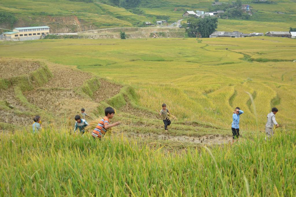 Cau May Homestay Sa Pa Buitenkant foto